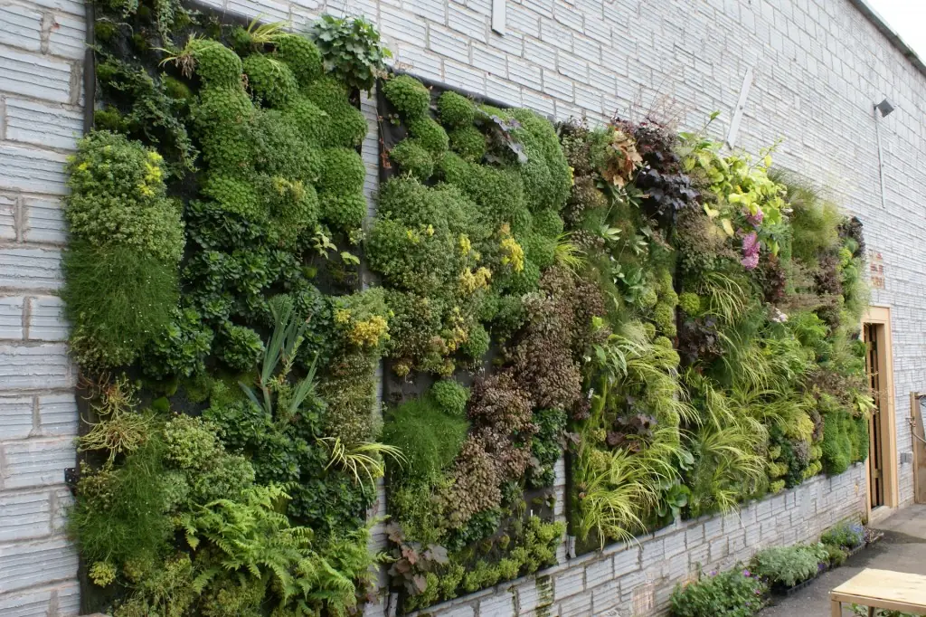 Vertical garden installation